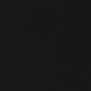 RAL_9005